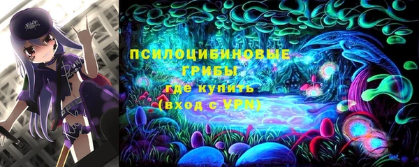 apvp Нязепетровск