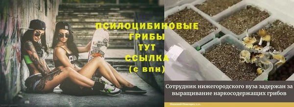 первитин Няндома