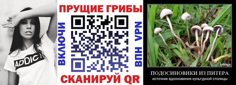 Галлюциногенные грибы Magic Shrooms Никольск